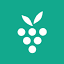 Berrycast icon