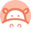 HippoVideo icon